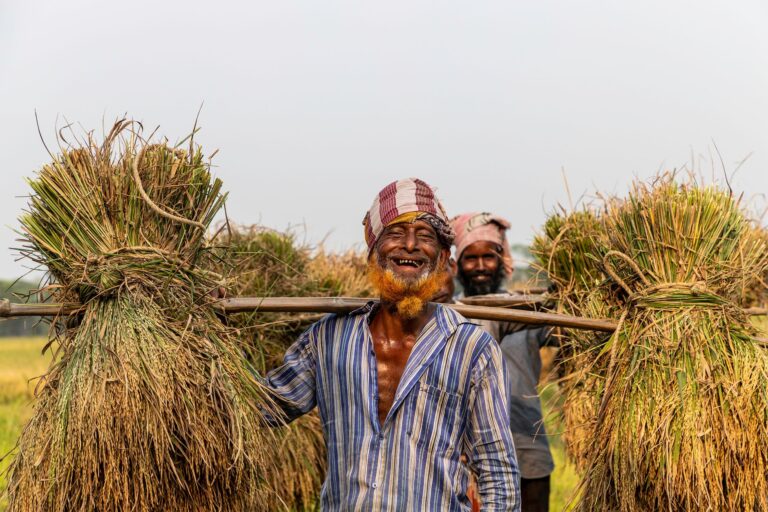 Maha govt support farmers