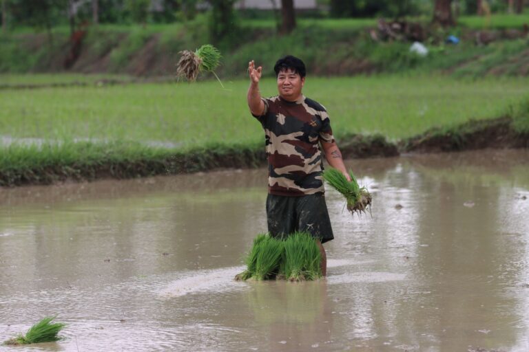 Nepal floods death toll