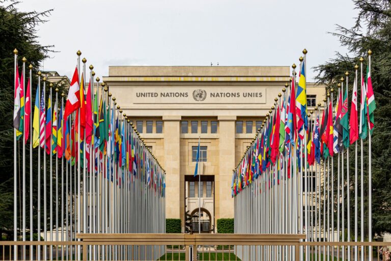 reformed multilateralism
