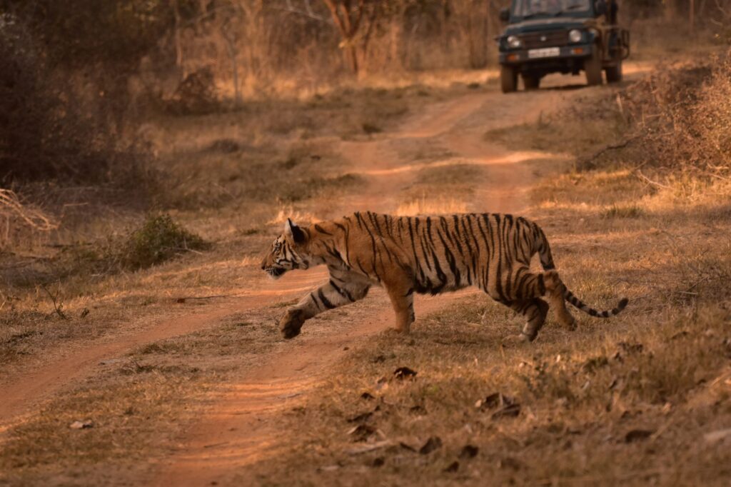 Tiger Shroff firing attempt